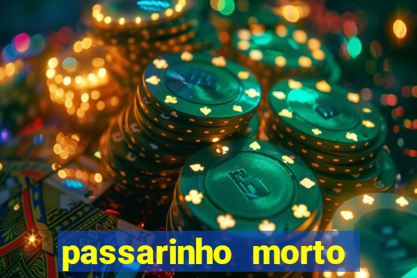 passarinho morto significado espiritual